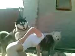 A small adolescent who is always thrilled has once had her unfathomably delicate and restricted cunt pounded by a brute